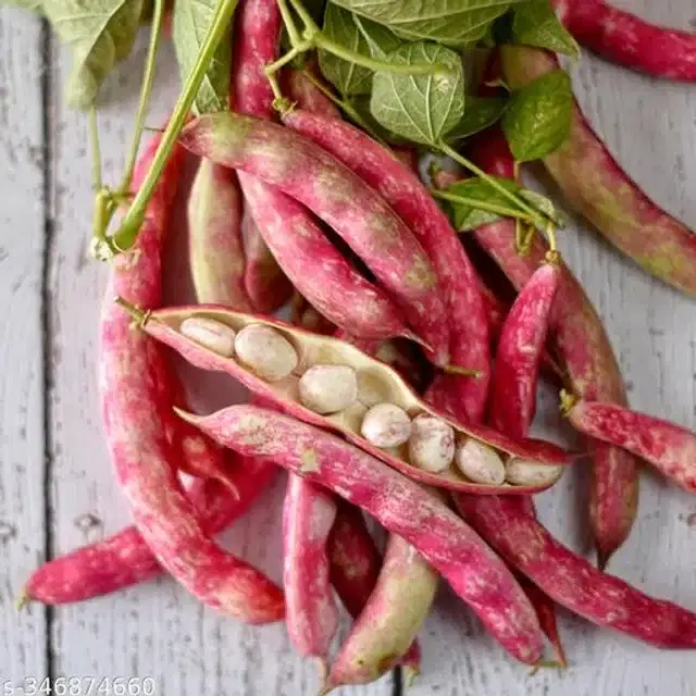 Red Long Big Cranberry Beans Seeds, Pack of 15