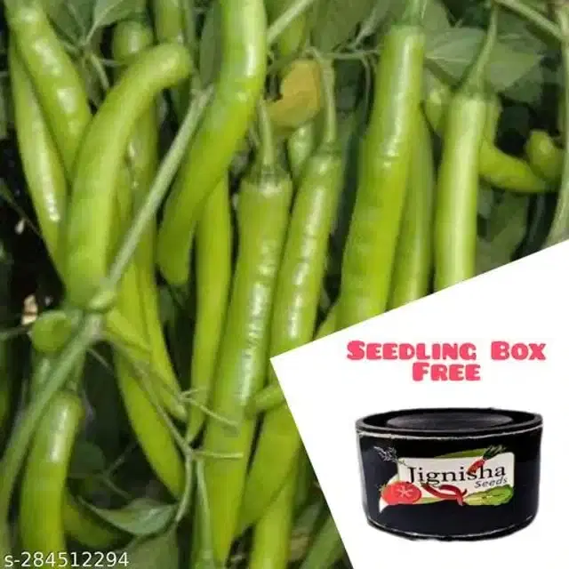 Chilli Pepper Hybrid Vegetable Seeds, Pack of 50