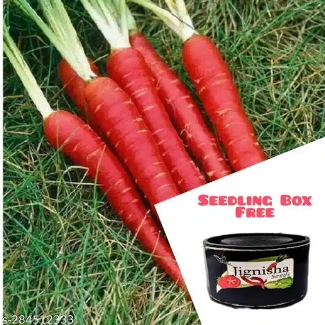 Red Carrot Vegetable Seeds, Pack of 50