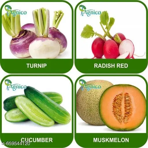 4 Vegetable Seeds Combo With Instruction Manual(Turnip/Radish Red/Muskmelon/Cucumber)