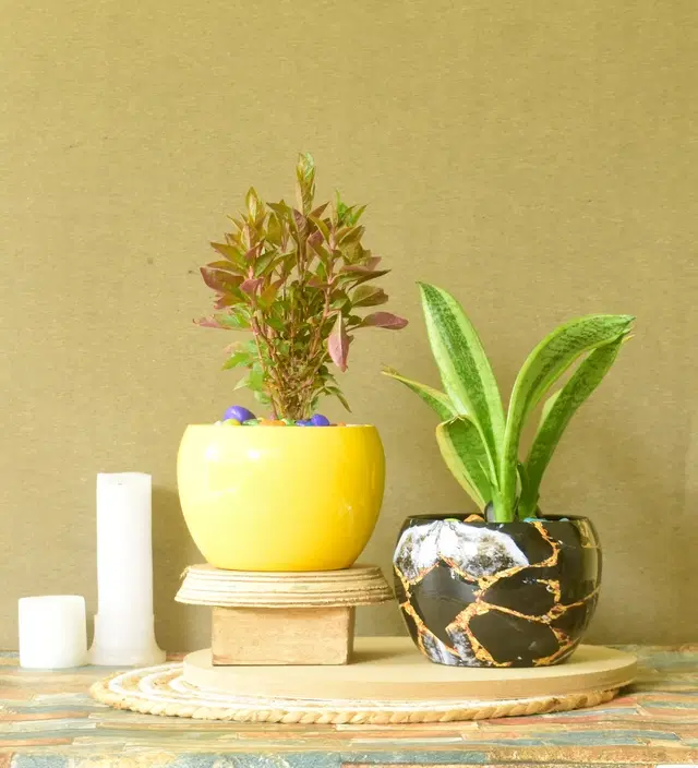 Metal Planter for Home, Multicolor, Pack of 2