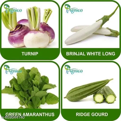 4 Vegetable Seeds Combo With Instruction Manual(Turnip/Brinjal White Long/Ridge Gourd/Green Amaranthus)