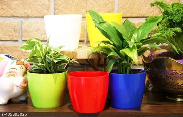 Plastic Round Shape Planters, Multicolor, Pack of 5