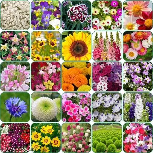 Aero Seeds Combo of 25 variety flower seeds with instruction manual.