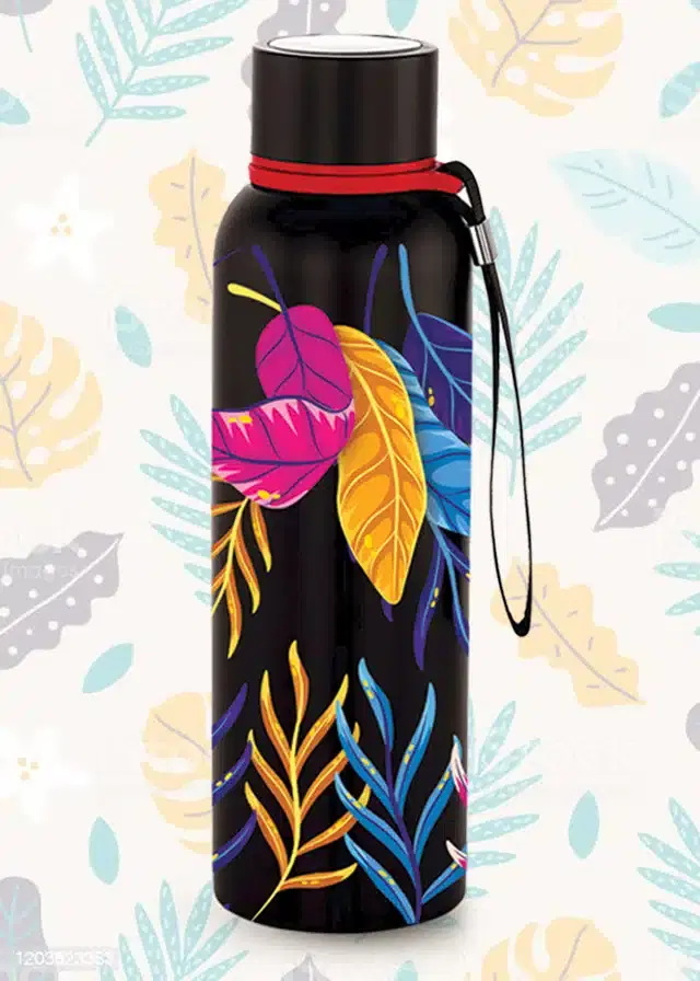 Stainless Steel Vacuum Insulated Water Bottle, Black, 750 ml