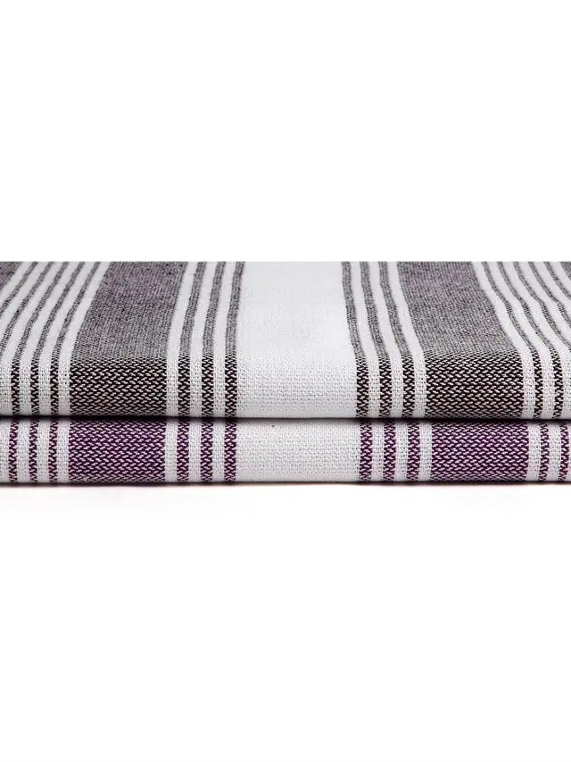 Cotton High Absorbent Bath Towels, Multicolor, Pack of 2