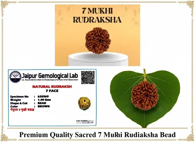 Certified - Natural Nepali 7 Mukhi Rudraksha For Meditation And Prayer, Protection, Chakra Balancing (Pack of 1)