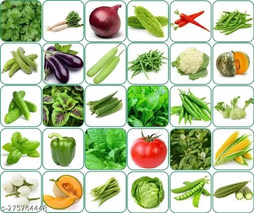 Aero Seeds Combo of 30 variety vegetable seeds with instruction manual.