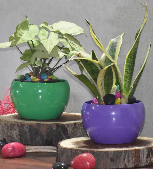 Metal Planter for Home, Green & Purple, Pack of 2
