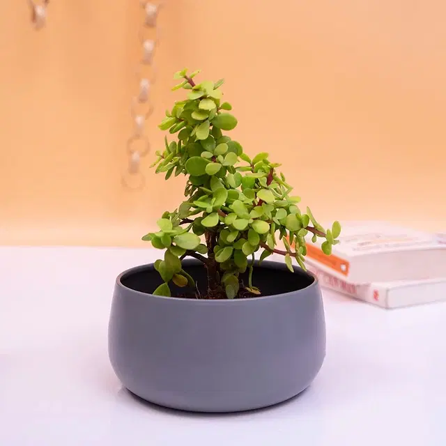 Metal Planter for Home, Grey