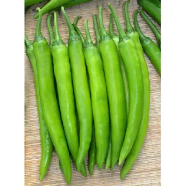 Big Pepper Chilli Seeds, Pack Of 50