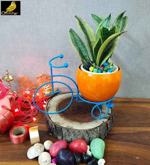 Metal Planter for Home, Blue & Orange, Pack of 2