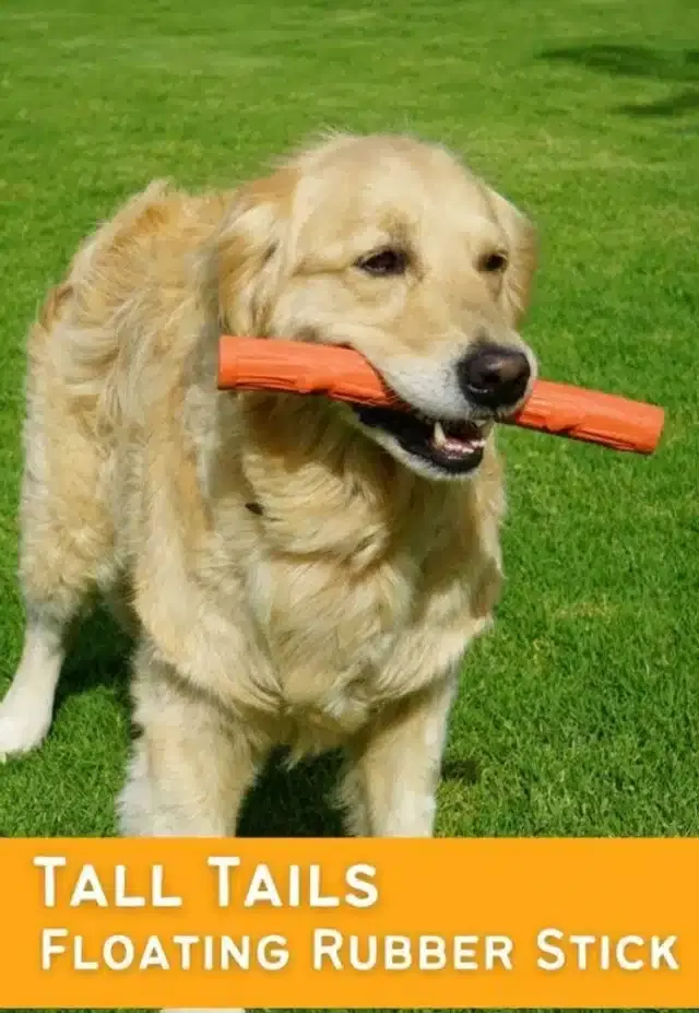 Dogwood Chew Toy for Dogs, Multicolor