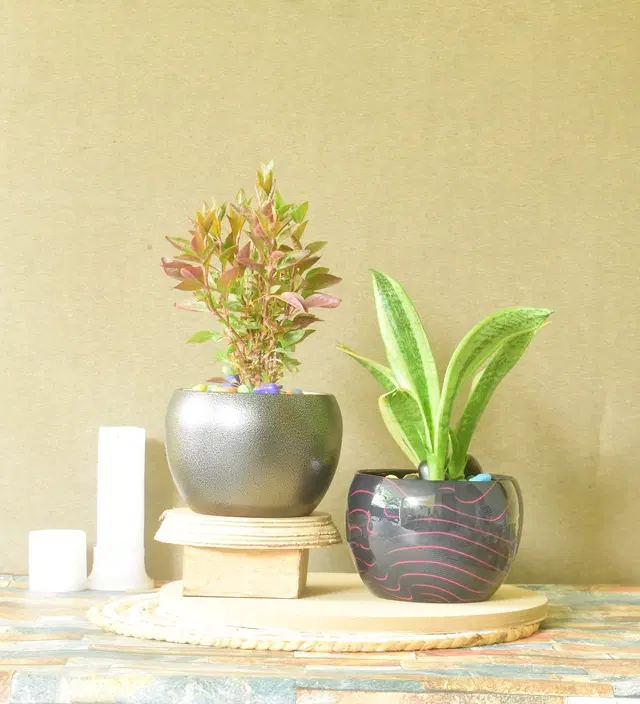 Metal Planter for Home, Multicolor, Pack of 2