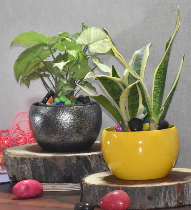 Metal Planter for Home, Silver & Yellow, Pack of 2