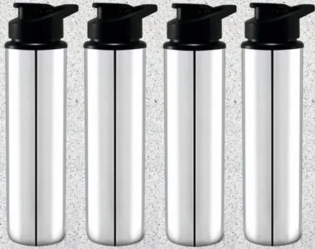 Stainless Steel Water Bottle, Silver, 900 ml, Pack of 4