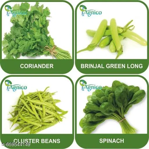 4 Vegetable Seeds Combo With Instruction Manual(Coriander/Brinjal Green Long/Cluster Beans/Spinach)