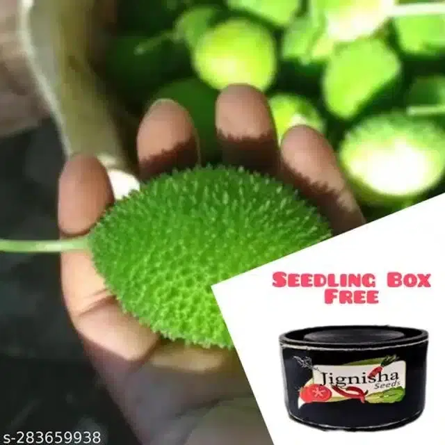 Kantola Seeds, Pack of 20