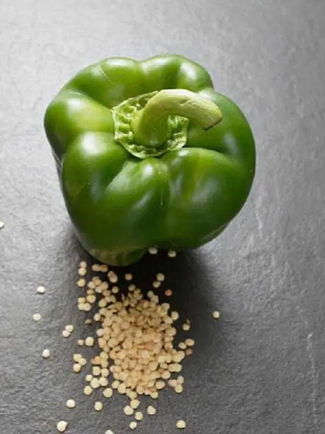 Seeds of Capsicum Vegetable, Pack Of 50