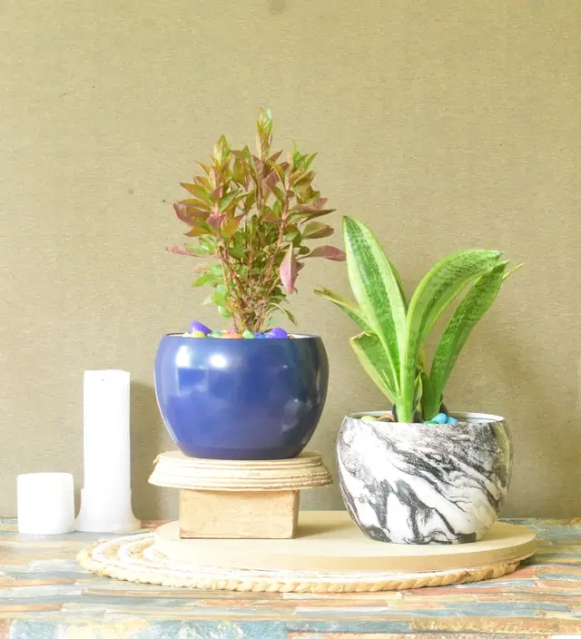 Metal Planter for Home, Multicolor, Pack of 2