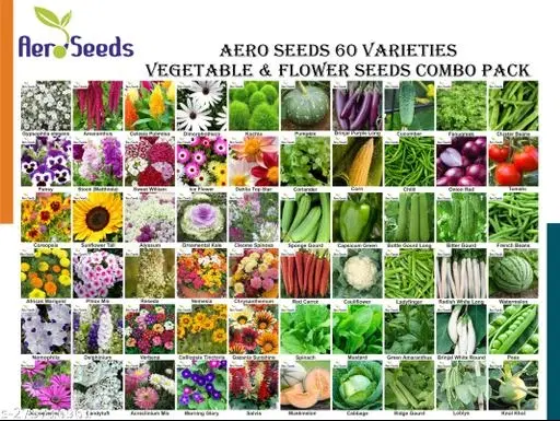 Aero Seeds 60 variety (30 flower and 30 vegetable) seeds combo pack with instruction manual.