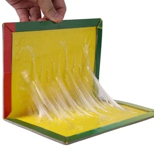 Mouse Trap Sticky Glue Pad, Lizard Trap, Cockroach Trap, Insects Trap (Pack of 2)