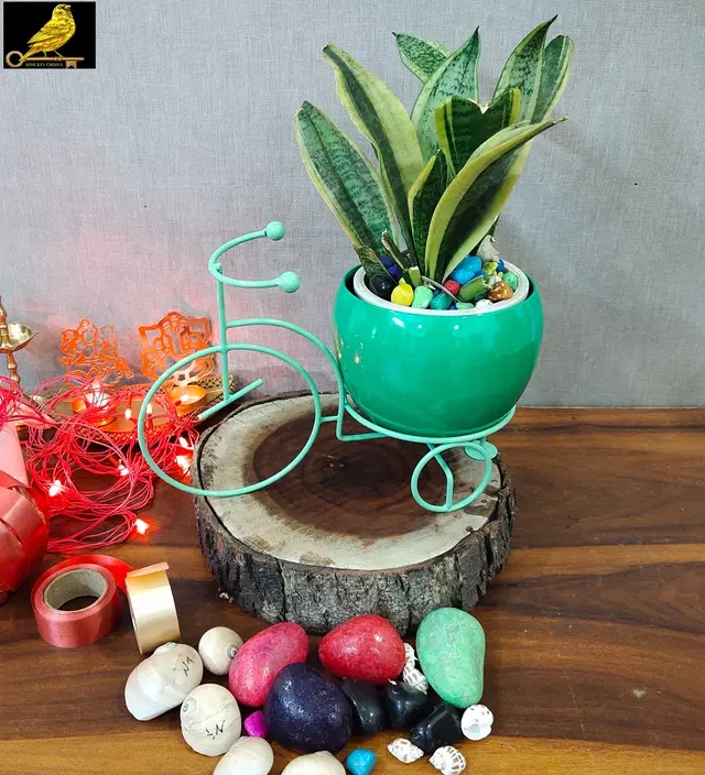 Metal Planter for Home, Green, Pack of 2