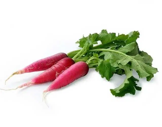 Recron Seeds of Radish Vegetable, Pack Of 50