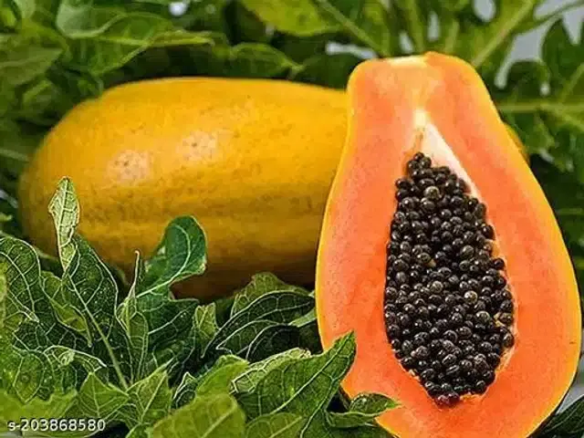 Papaya Orange Flesh Fruit Seeds, Pack of 25