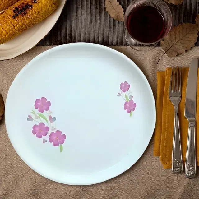 Fair Food Dinner Plate For Regular Use- 1 Pcs