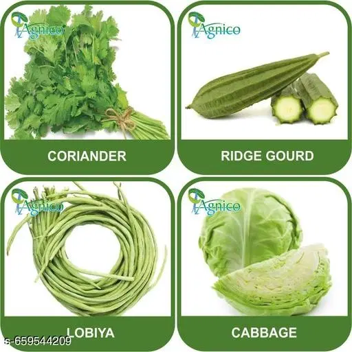4 Vegetable Seeds Combo With Instruction Manual(Coriander/Ridge Gourd/Lobiya/Cabbage)