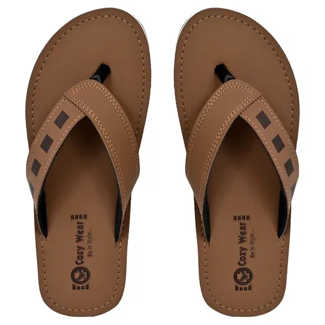 Flipflops for Men (Brown, 6)