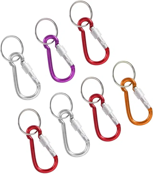 Stainless Steel Locking Carabiners with Screw Lock, Keychains, Multicolour, Pack of 2