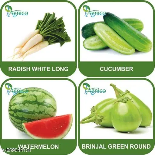 4 Vegetable Seeds Combo With Instruction Manual(Radish White Long/Cucumber/Watermelon/Brinjal Green Round)