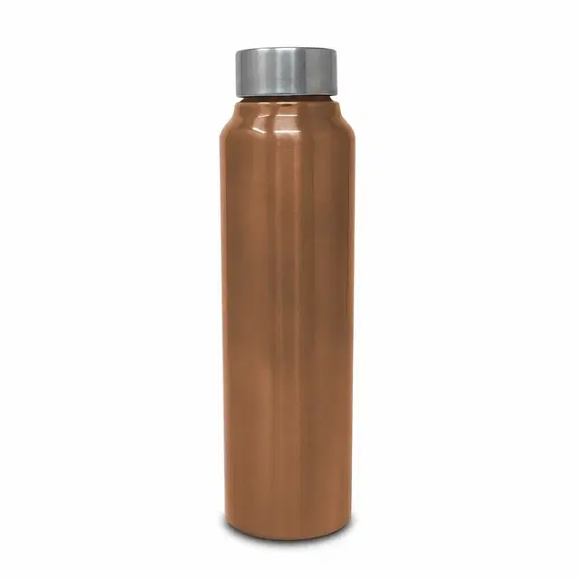 Raintech Steel Water Bottle [1000 ml, Brown]