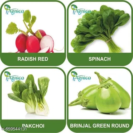 4 Vegetable Seeds Combo With Instruction Manual(Radish Red/Spinach/Pakchoi/Brinjal Green Round)
