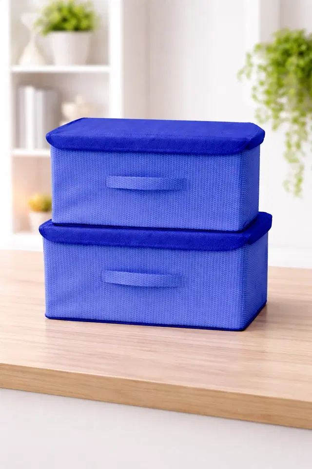Craft Bazar Multipurpose Foldable Fabric Big Storage Box Pack of 2 with Lid and Handle for Clothes, Toys, Wardrobe, Shelf, Bedroom and Home Organization