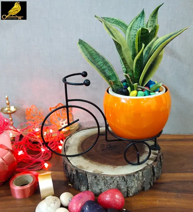 Metal Planter for Home, Black & Orange, Pack of 2