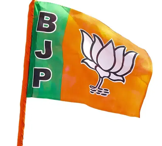 Polyester Printed Bharatiya Janata Party Flags, Multicolor, 30x45 Inches