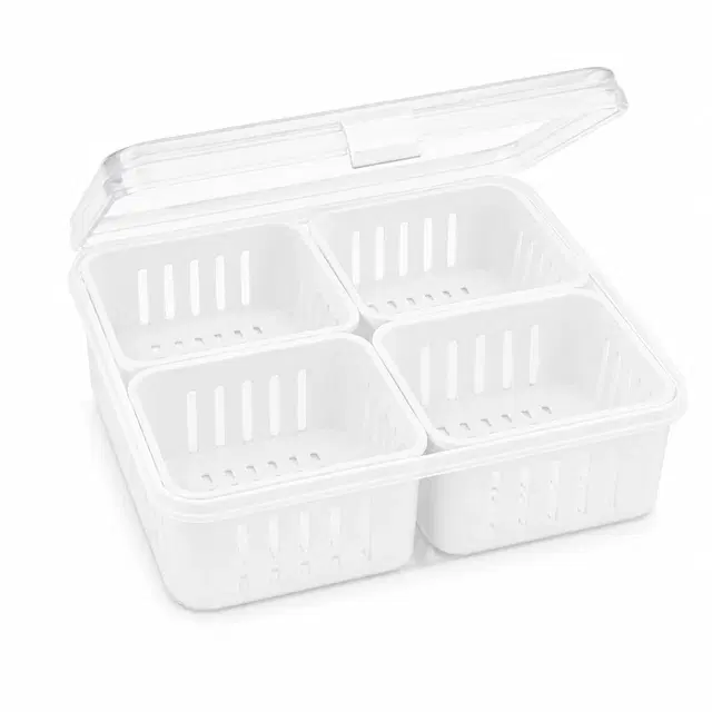 4 in 1 Plastic Freezer Containers Set, 1200ml [Assorted Colour]