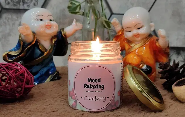Floish Decor Premium Cranberry Scented Mood Relaxing Candle