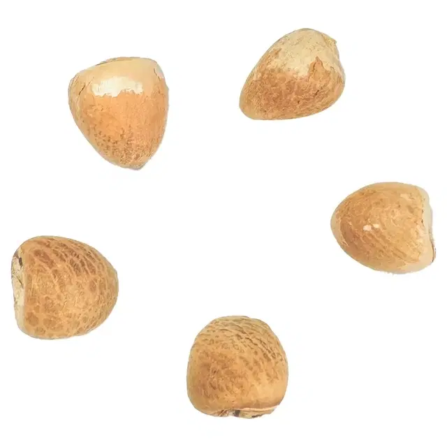 Supari (5 Pc)