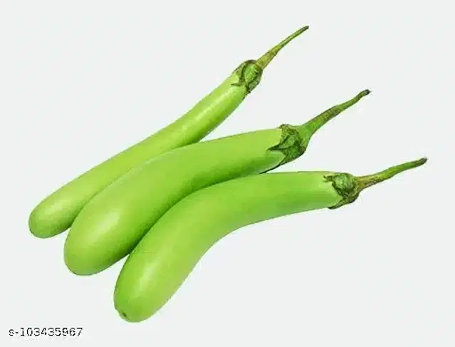 Exotic Green Long Brinjal Seeds, Pack of 50