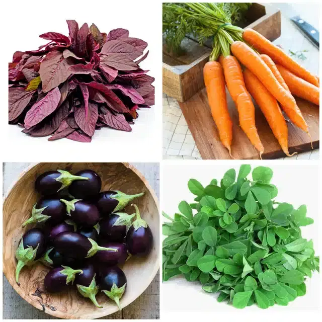 4 Variety of Vegetable Seeds, Combo of 1