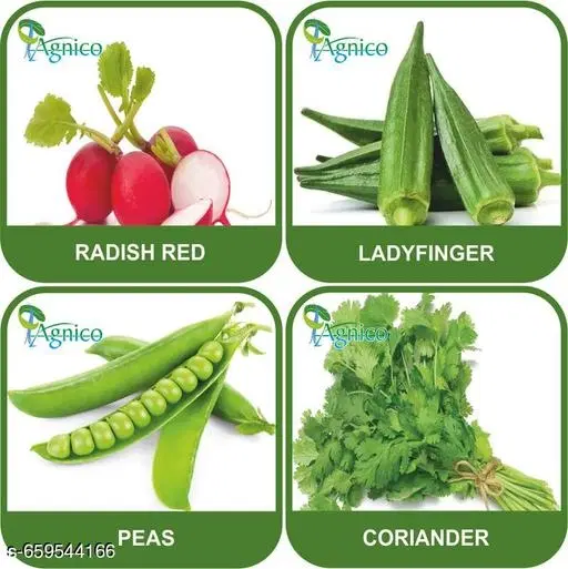 4 Vegetable Seeds Combo With Instruction Manual(Radish Red/Lady Finger/Peas/Coriander)