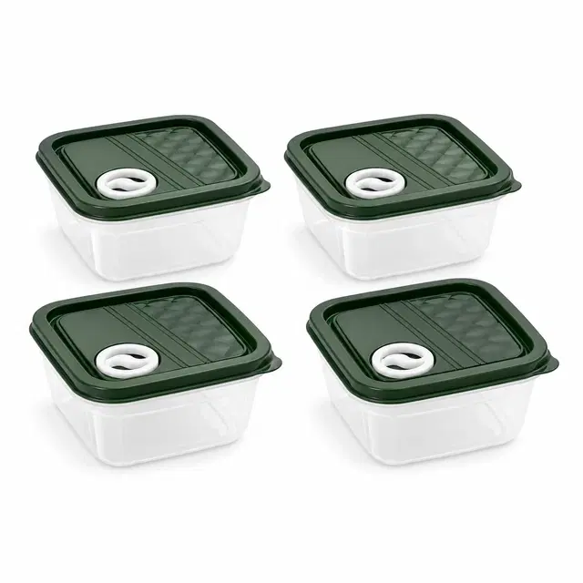 Food Storage Container Set of 4 Green