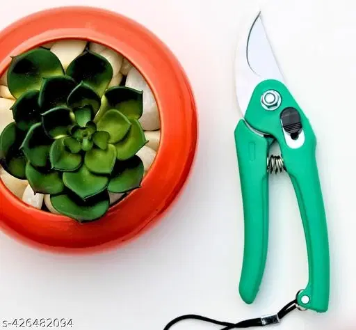 Stainless Steel Hand Pruner Cutter for Garden, Multicolor