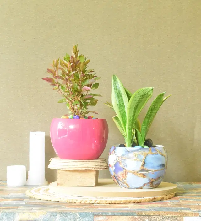 Metal Planter for Home, Multicolor, Pack of 2