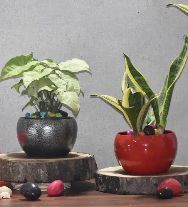 Metal Planter for Home, Silver & Red, Pack of 2