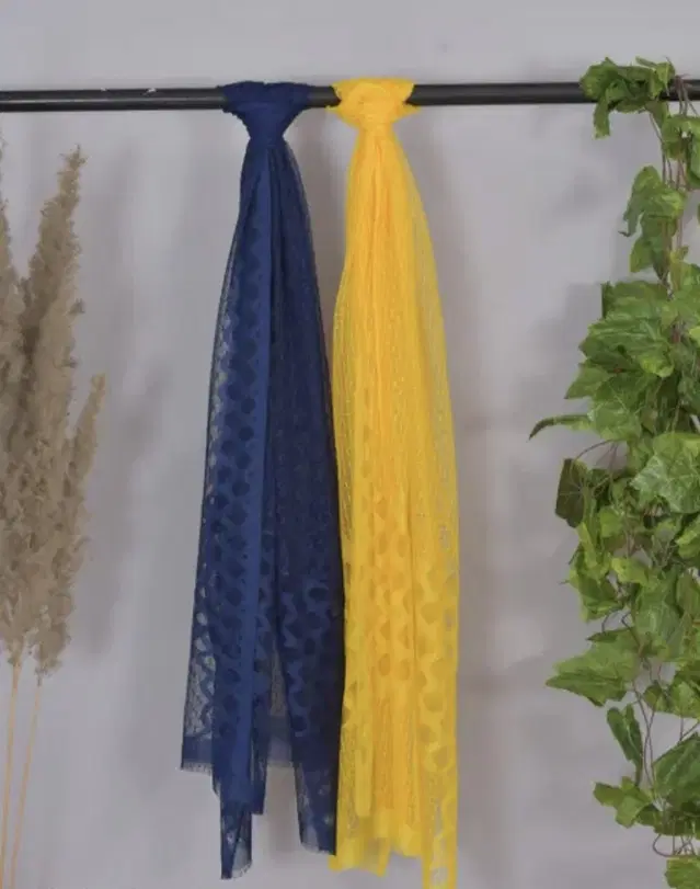 Net Solid Dupatta for Women, Multicolor Pack of 2